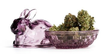 Easter Strains That Will Make Your Weekend a Little Sweeter