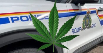 Nova Scotia Chief Says Mi’kmaq Have a Treaty Right to Sell Cannabis Amid New RCMP Raids