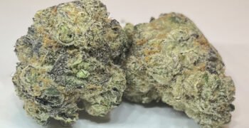 The Local Noze: Roll X by Victoria Cannabis Company