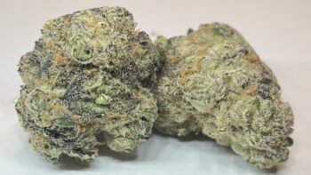 The Local Noze: Roll X by Victoria Cannabis Company