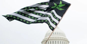 US Supreme Court Could Loosen Law Barring Pot Users From Owning Guns