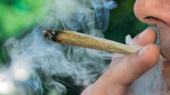 Most Americans Support “Making Marijuana Legal” Nationwide