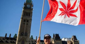 Amid Nova Scotia Raids, Senators Hear Calls For Indigenous Sovereignty Over Cannabis