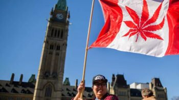 Amid Nova Scotia Raids, Senators Hear Calls For Indigenous Sovereignty Over Cannabis