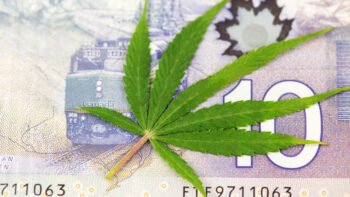Canadians Could Claim Part of $8-Million Cannabis Settlement