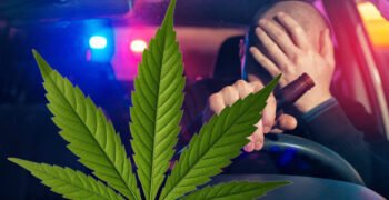 After Canada Legalized Cannabis, Police Caught More Drunk Drivers