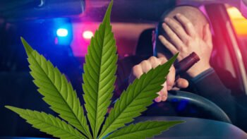 After Canada Legalized Cannabis, Police Caught More Drunk Drivers