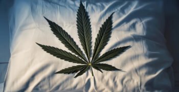 Medical Cannabis Products Associated With Sustained Improvements in Sleep Quality