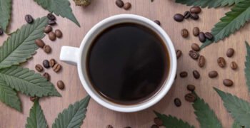 No Measurable Next-Day Cognitive Effects Following Cannabis Use