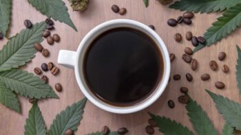 No Measurable Next-Day Cognitive Effects Following Cannabis Use