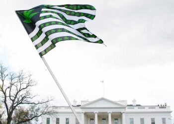BREAKING: Cannabis Rescheduling Becomes Federal Reality