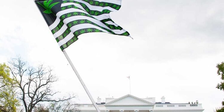 BREAKING: Cannabis Rescheduling Becomes Federal Reality