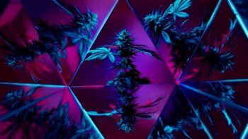 Why Most Celebrity Cannabis Brands Flopped – And What The Winners Got Right