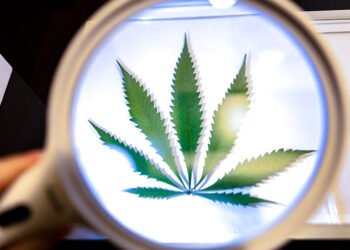 How Smokers Use Certain Strains to Boost Their Focus