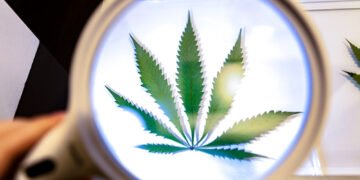 How Smokers Use Certain Strains to Boost Their Focus