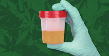Transportation Memo: Cannabis Rescheduling Doesn’t Change Drug Testing Rules