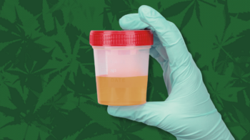 Transportation Memo: Cannabis Rescheduling Doesn’t Change Drug Testing Rules