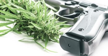 US Supreme Court Expresses Skepticism Over Gun Ban for Cannabis Consumers
