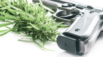 US Supreme Court Expresses Skepticism Over Gun Ban for Cannabis Consumers