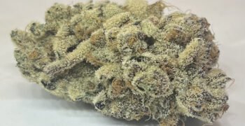 The Local Noze: Gushers by Weeds Farmgate
