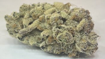 The Local Noze: Gushers by Weeds Farmgate