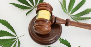 Trump Reclassifies Medical Marijuana as Less-Dangerous Drug in Historic Shift