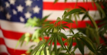 Trump Complains DOJ Is ‘Slow-Walking’ Marijuana Rescheduling