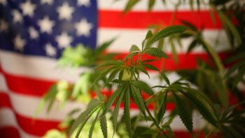 Trump Complains DOJ Is ‘Slow-Walking’ Marijuana Rescheduling