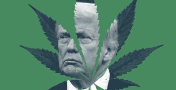 Trump Could Forgive Cannabis Convictions If He Wanted To