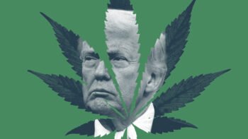 Trump Could Forgive Cannabis Convictions If He Wanted To