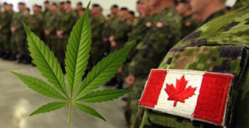 Once a Global Leader, Canada is Turning Back The Clock on Access To Medical Cannabis For Veterans