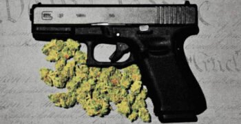 US Supreme Court Backs Cannabis User In Major Second Amendment Gun-Rights Case