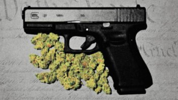 US Supreme Court Backs Cannabis User In Major Second Amendment Gun-Rights Case