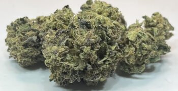 The Local Noze: Miracle Alien Cookies by Martindale Farms