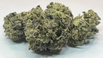 The Local Noze: Miracle Alien Cookies by Martindale Farms