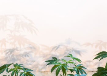 How to Best Practice Sustainability in Modern Cannabis