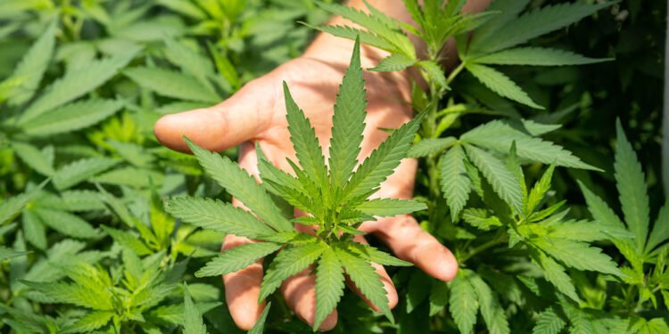 Growing Porch Pot: A Lesson in Faith