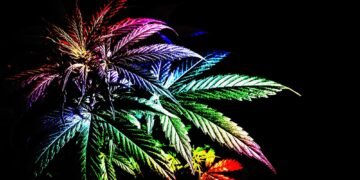 Cannabis’ Undeniable LGBTQ+ Connections Run Deep