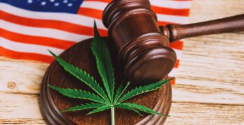 Democrats Call on Trump To Commute Sentences of Cannabis Prisoners