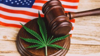 Democrats Call on Trump To Commute Sentences of Cannabis Prisoners