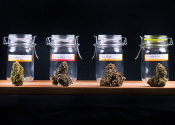 Cannabis 101: Dispensaries