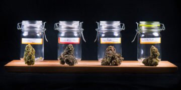 Cannabis 101: Dispensaries