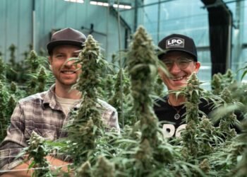 Big Sky Forever: Lone Peak Cannabis