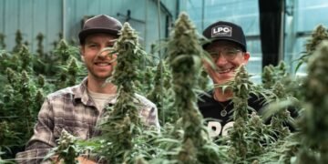 Big Sky Forever: Lone Peak Cannabis