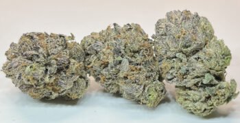 The Local Noze: OG Kush by Fort 20 Farms