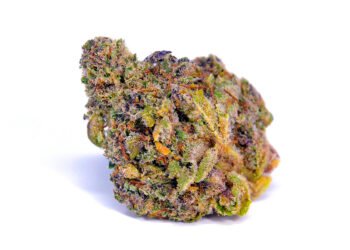 Pink Lemonade: This Sparkling Strain Is Both Pretty & Potent