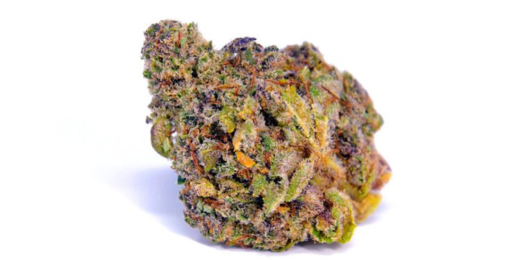 Pink Lemonade: This Sparkling Strain Is Both Pretty & Potent