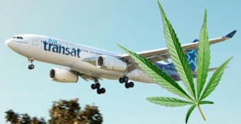 Air Transat Cabin Crew Can’t Get High While They’re Working, or On Their Own Time