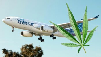 Air Transat Cabin Crew Can’t Get High While They’re Working, or On Their Own Time