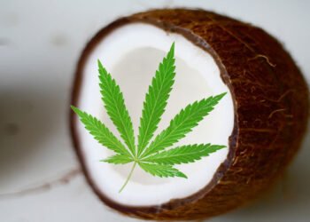 7 Ways to Use Cannabis Infused Coconut Oil